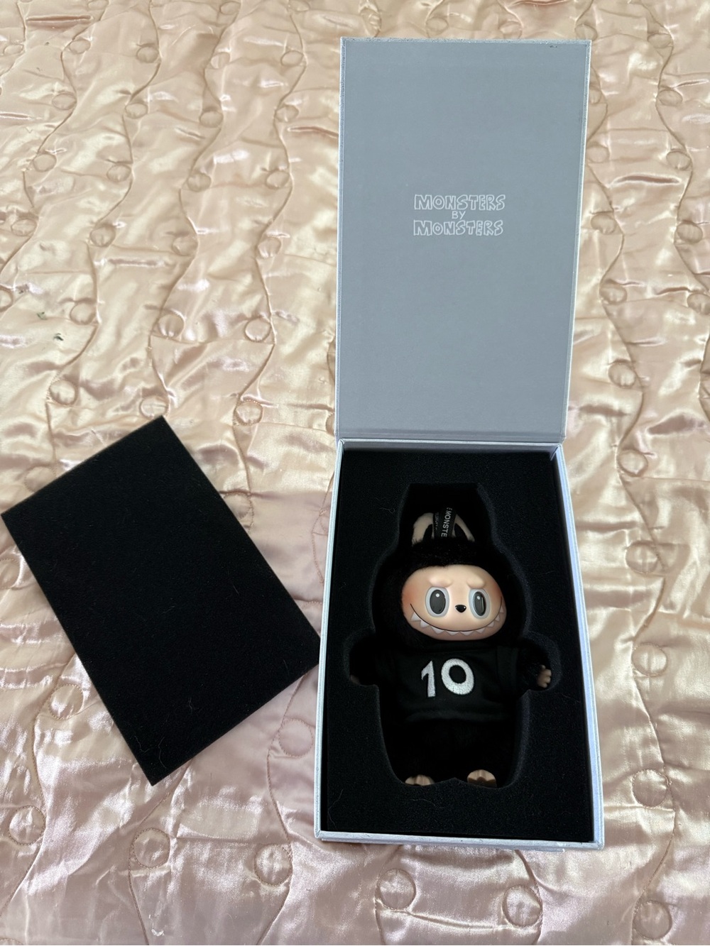 Sealed - The Monsters 10th Anniversary Exhibition Vinyl Plush in Box - Labubu